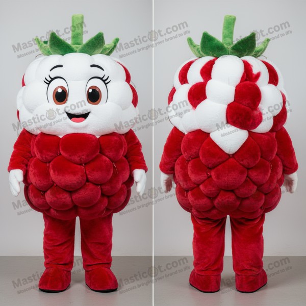 Velvety plump raspberry mascot - Masticot.com