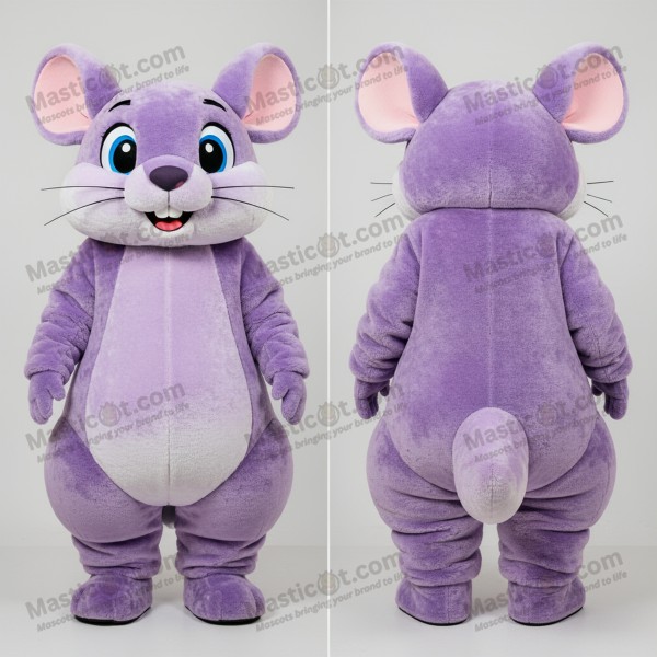 Mascotă de chinchilla pufoasă lavandă - Chinchilla -