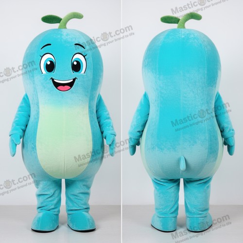 Cyan Smiling Melon Mascot - Melon - MASTICOT_28422 - Masticot.com