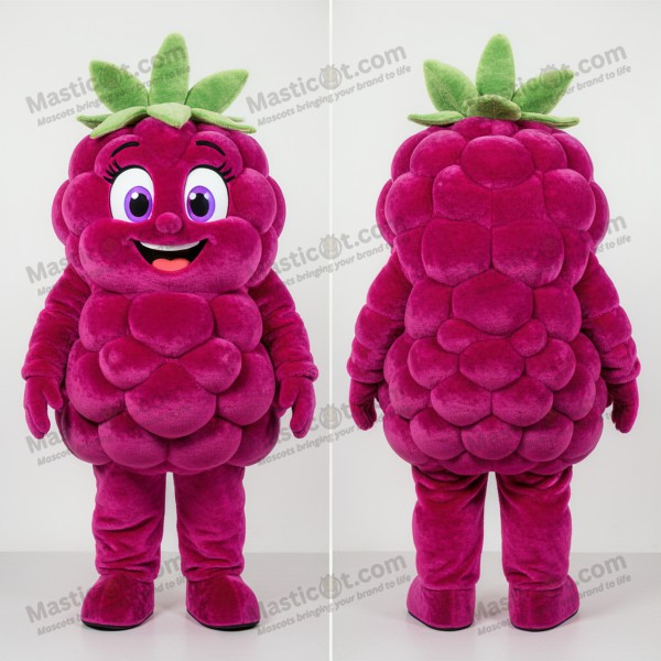 Magenta Velvety Raspberry Mascot - Masticot.com