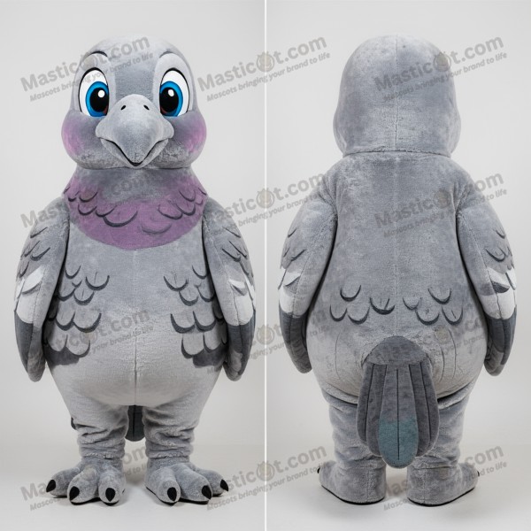 Sametově šedý, přátelský maskot holuby poštovní -