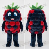 Crimson Velvety Raspberry Mascot - Masticot.com