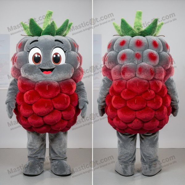 Velvety Gray Cartoon Raspberry Mascot - Masticot.com