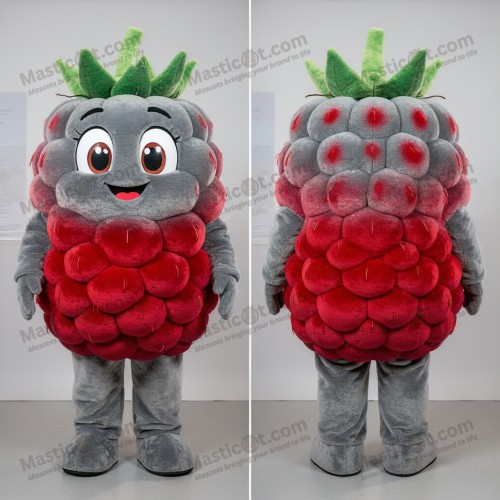 Velvety Gray Cartoon Raspberry Mascot - Masticot.com