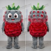 Velvety Gray Cartoon Raspberry Mascot - Masticot.com