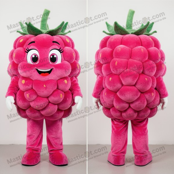 Velvet pink rounded raspberry mascot - Masticot.com
