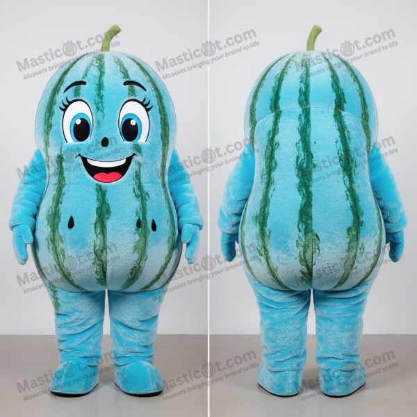 Sky Blue Rounded Watermelon Mascot - Masticot.com