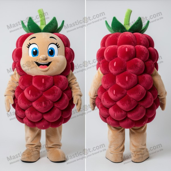 Soft plush plump raspberry mascot - Masticot.com