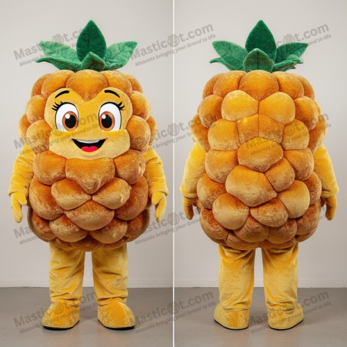 Golden red plump raspberry mascot - Masticot.com