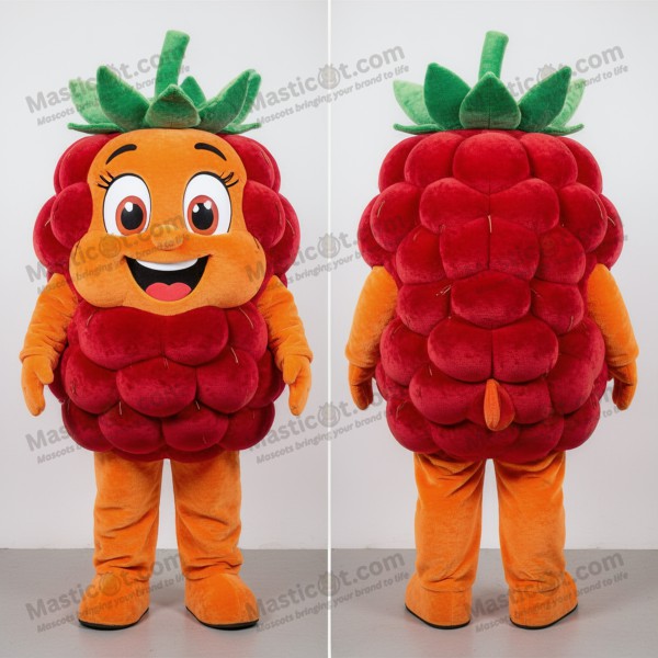 Vibrant orange raspberry mascot - Masticot.com