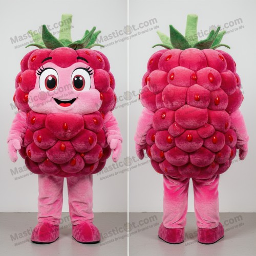 Velvet pink rounded raspberry mascot - Masticot.com