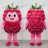 Velvet pink rounded raspberry mascot - Masticot.com
