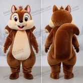 Samtbrauner Wald-Eichhörnchen-Maskottchen - Masticot.com
