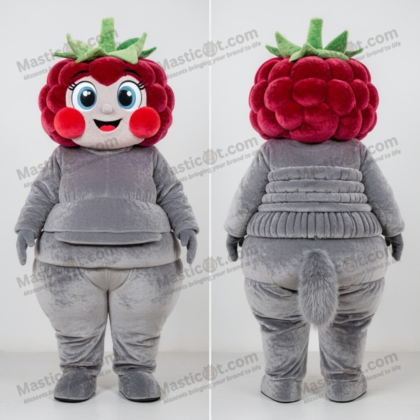 Rosy Gray Cartoon Raspberry Mascot - Masticot.com